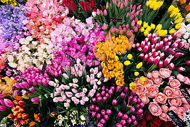 《雷顿教授》系列游戏全球销量已超1800万